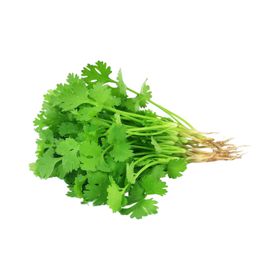 Coriander