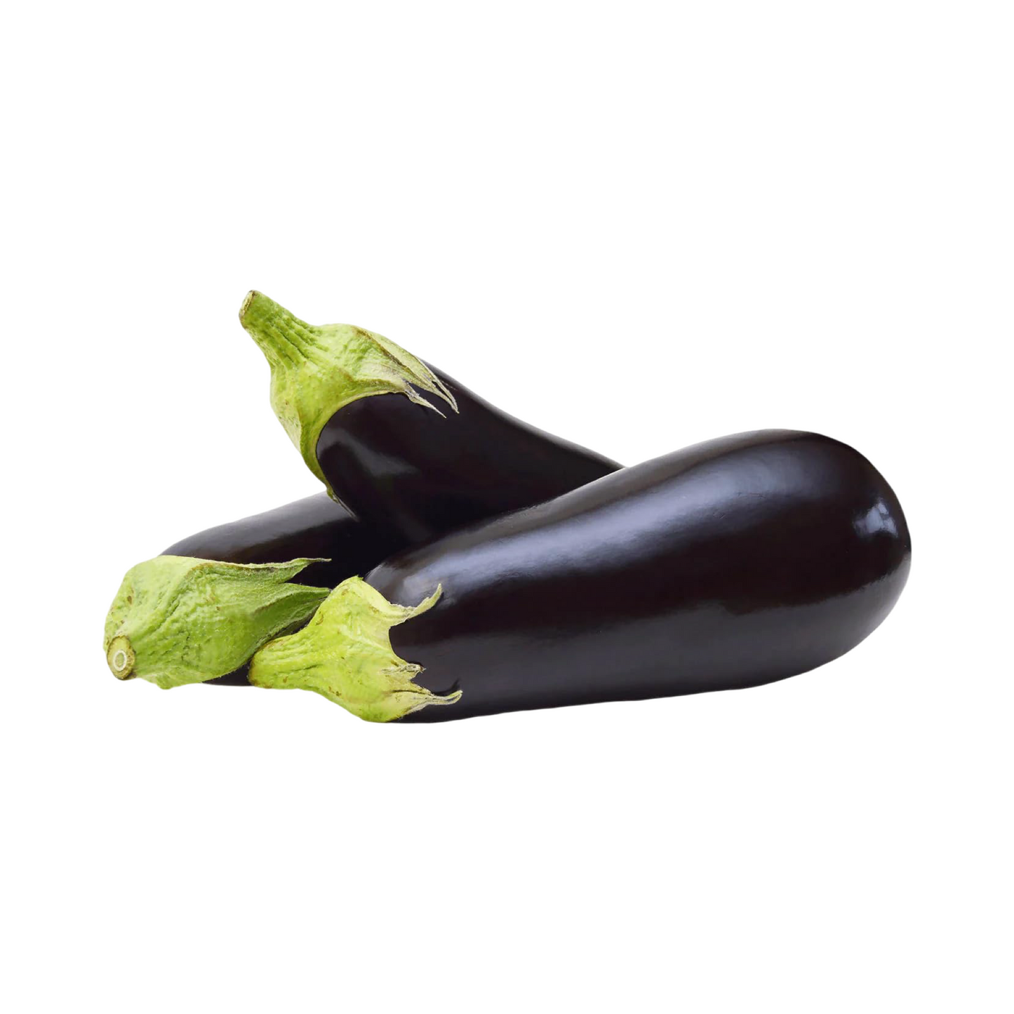 Dutch Aubergine