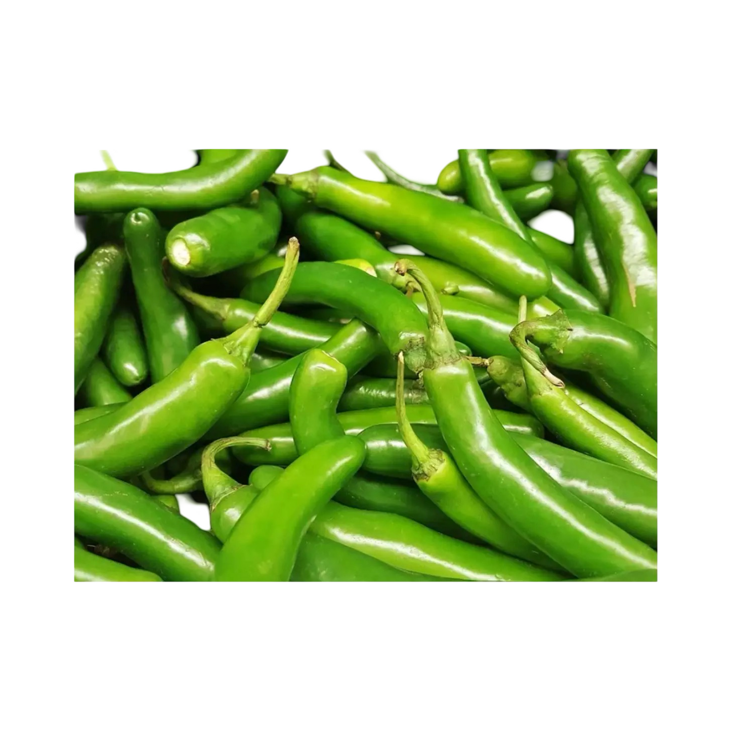 Indian Green Chillies