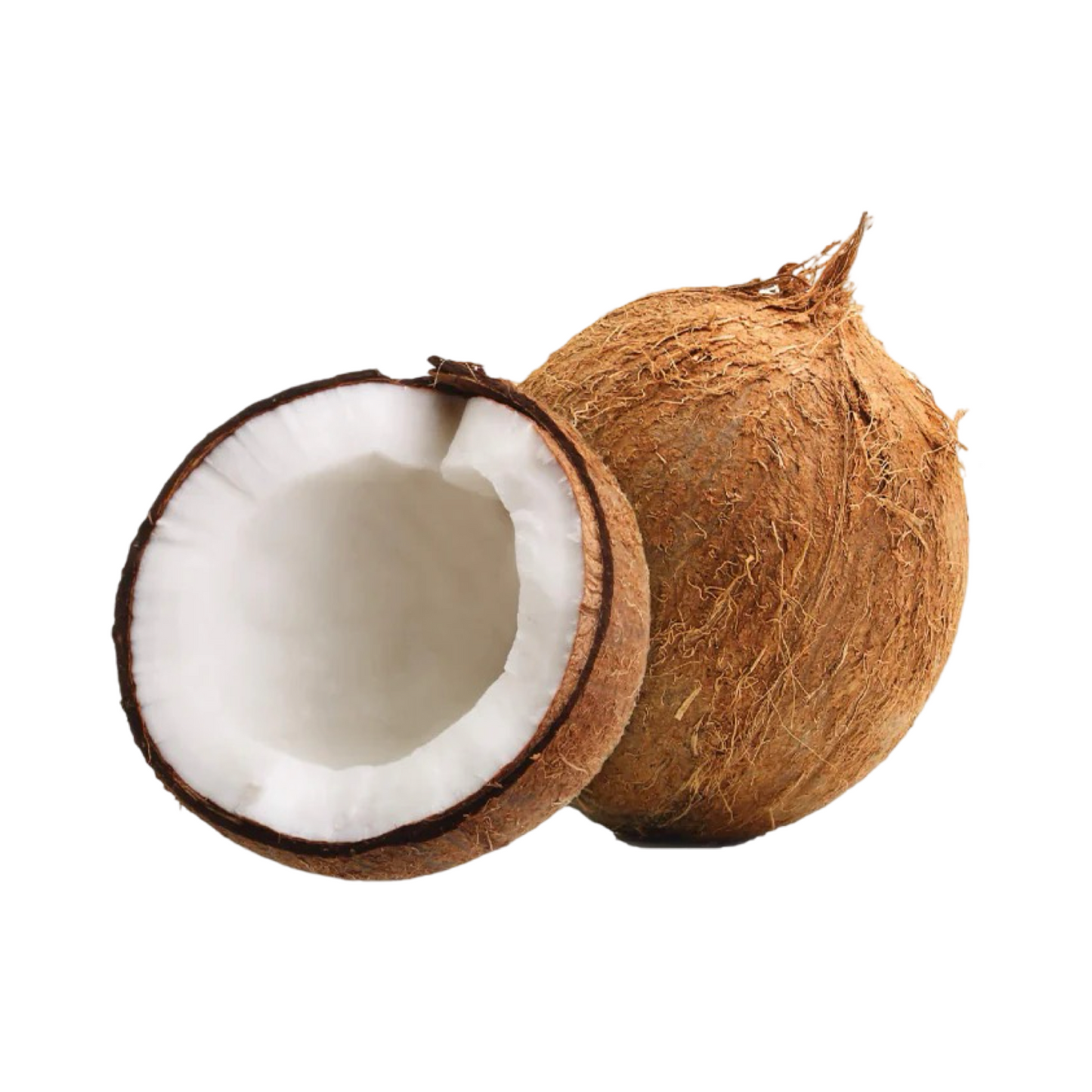 Coconut