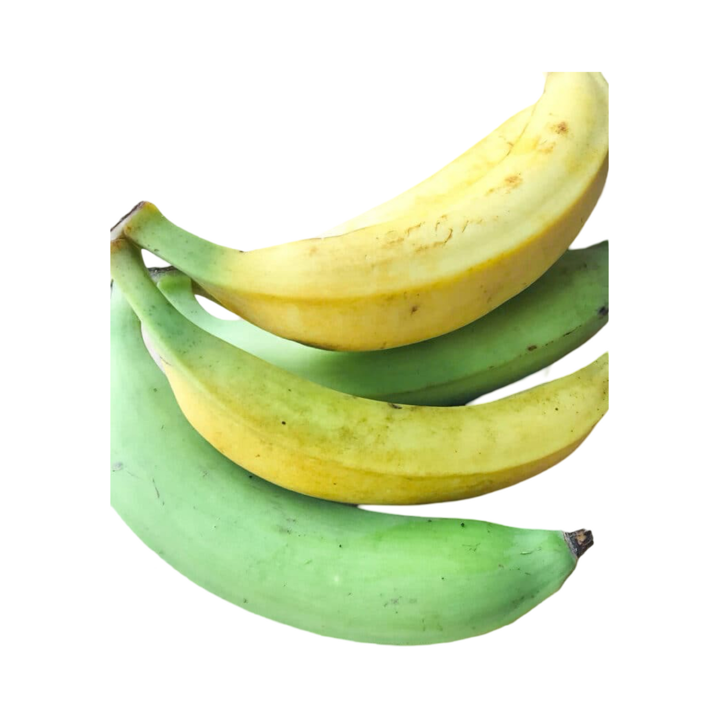 Plantain