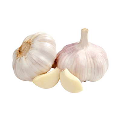 Apollo Garlic 650g