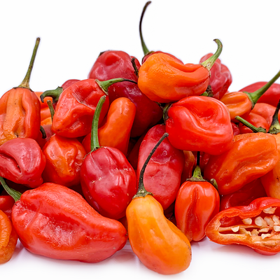 African Chilli Hot Pepper